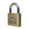 Squire Lion Brass Weatherproof Padlock 40mm -Padlocks Sales 8695J P